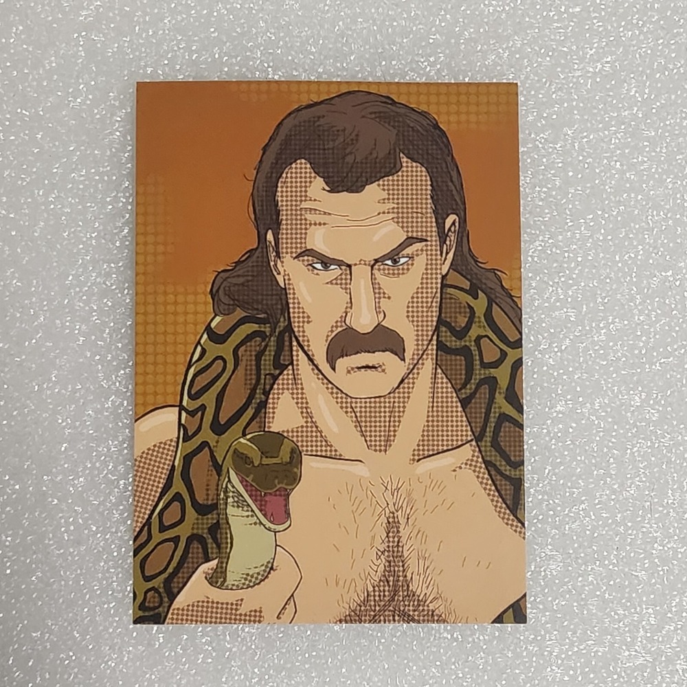 Pro Wrestling Loot Series 3 Trading Card Jake The Snake Roberts AEW Card 1